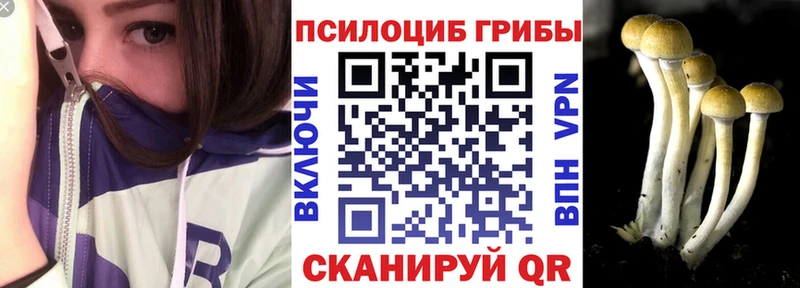 MEGA ССЫЛКА  Верхняя Салда  Галлюциногенные грибы Psilocybe  как найти закладки 